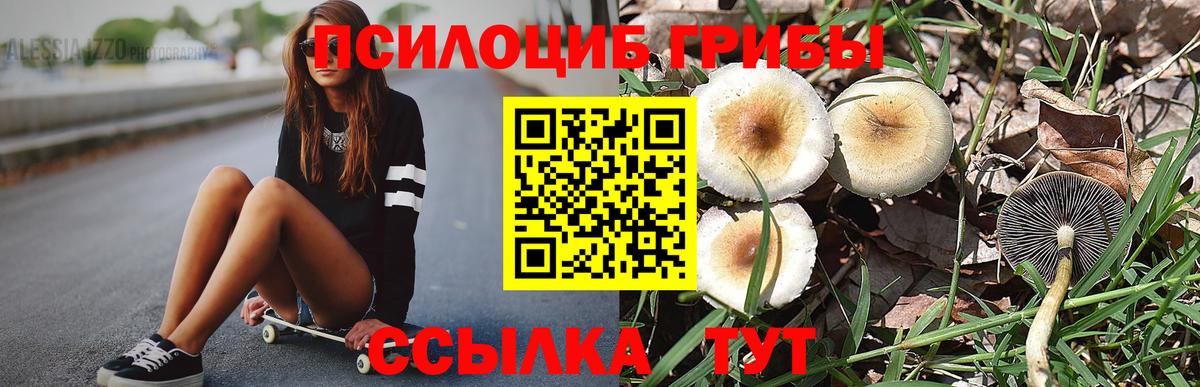 Псилоцибиновые грибы прущие грибы Магнитогорск